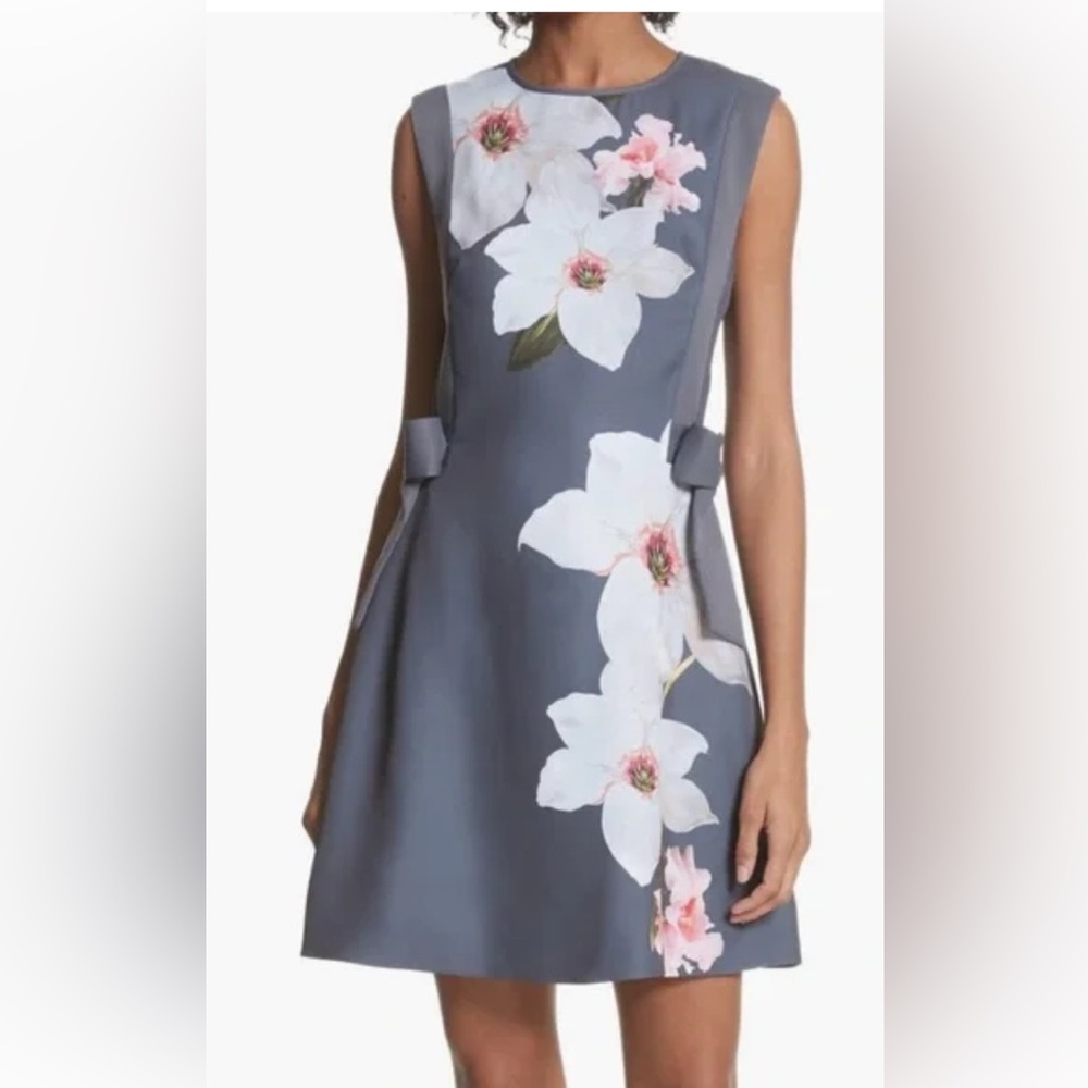 Ted Baker London Chatsworth ALine Floral Dress Grey gray Tammee US Size 4-6 EU 2
